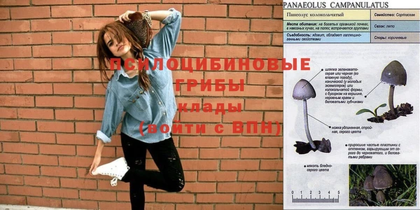 мдма Бронницы