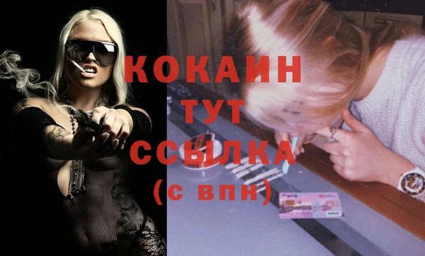 хмурый Сосновый Бор