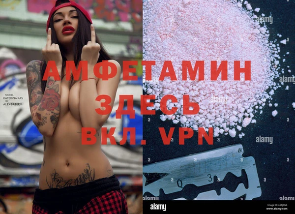 амф Верея