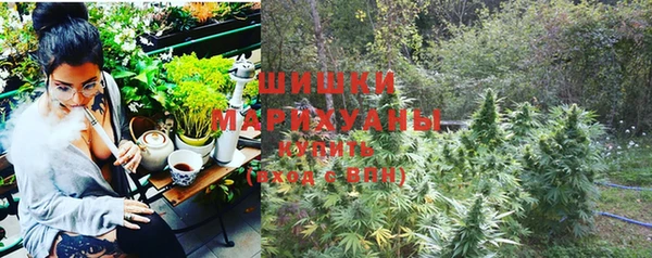 амф Верея